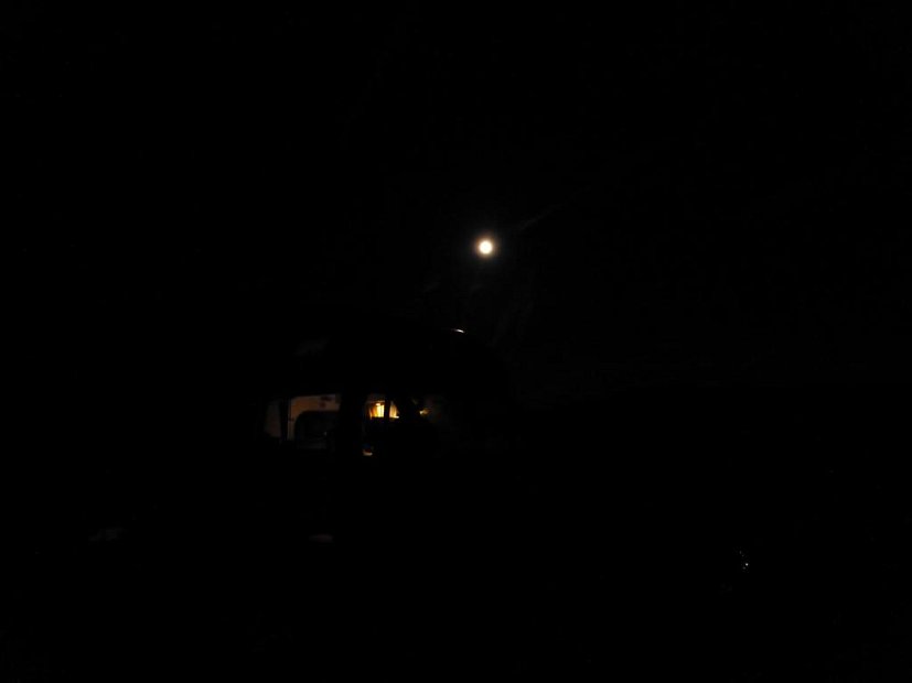 P1030936 (Large)